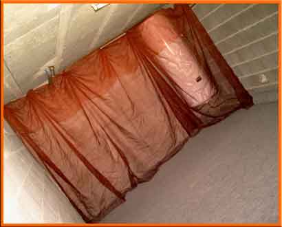 Cabine